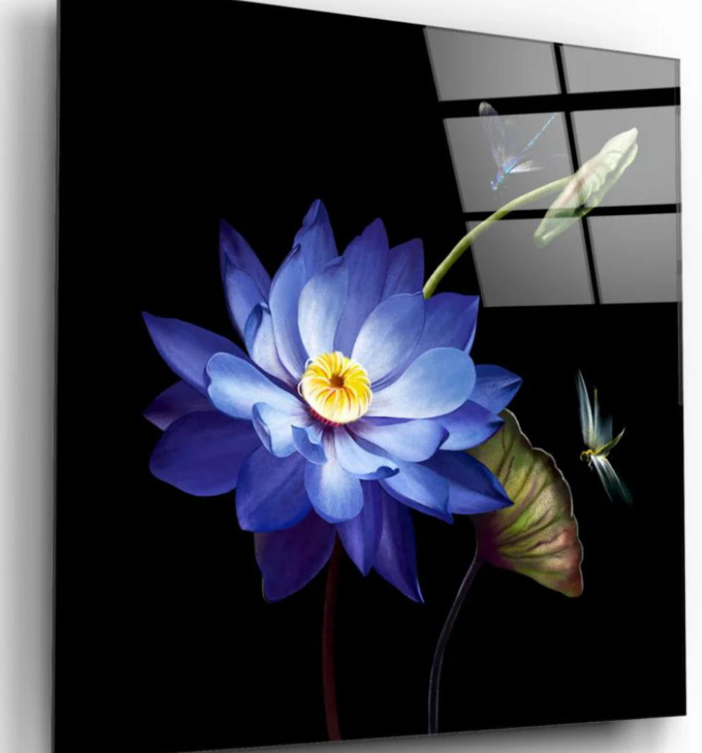 Blue flower with a yellow center on a black background